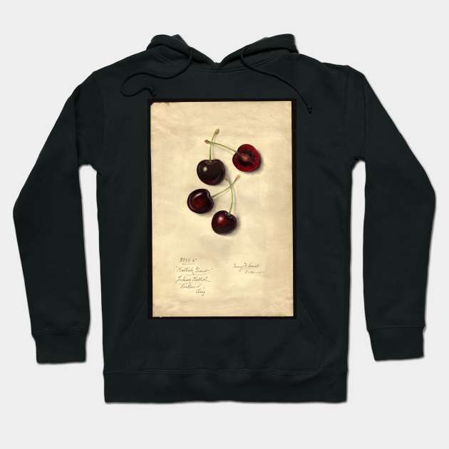 Kallich Giant Cherries Hoodie by Amanda1775